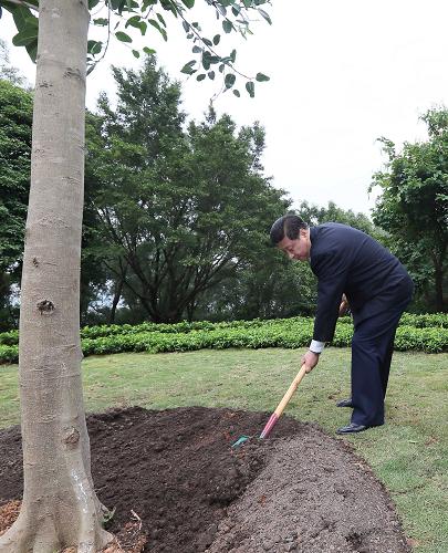 2012年12月7日至11日，習(xí)近平在廣東省考察工作。這是8日上午，習(xí)近平在深圳蓮花山公園種下一棵高山榕樹(shù)。新華社記者 蘭紅光 攝