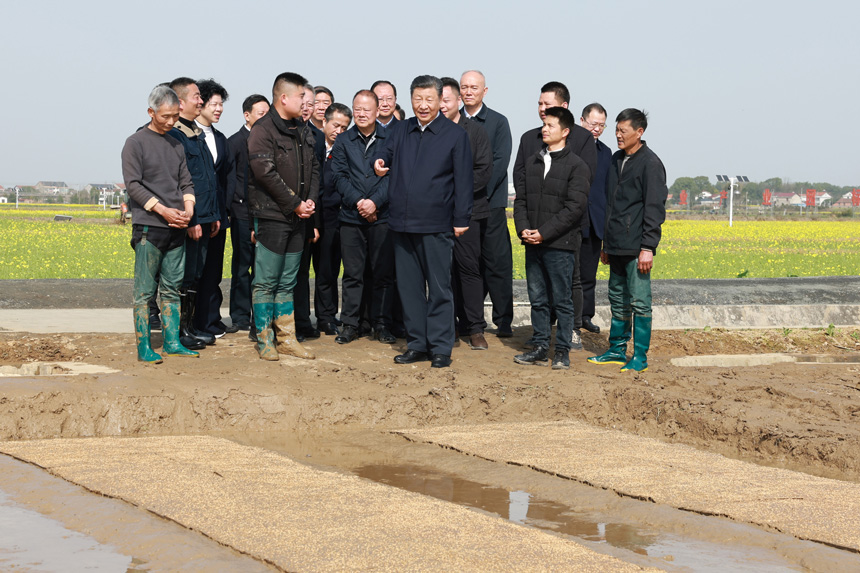 2024年3月18日至21日，中共中央總書記、國家主席、中央軍委主席習近平在湖南考察。這是19日下午，習近平在常德市鼎城區(qū)謝家鋪鎮(zhèn)港中坪村走進田間，察看秧苗培育和春耕備耕進展。新華社記者 王曄 攝